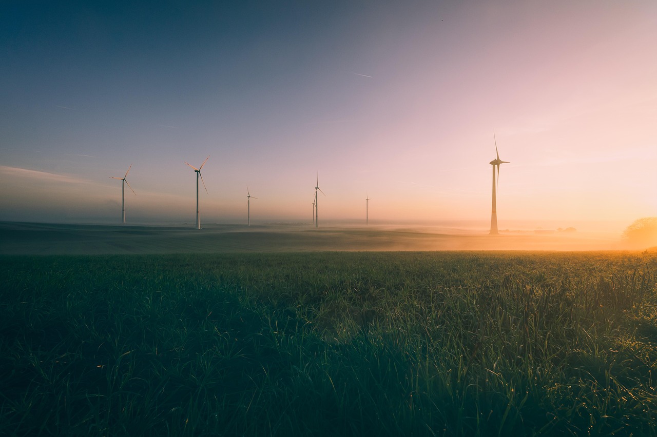 entdecken sie alles wissenswerte über die umwelt: aktuelle themen, nachhaltige lösungen und tipps zum schutz unseres planeten. erfahren sie mehr über umweltschutz, klimawandel und grüne innovationen.