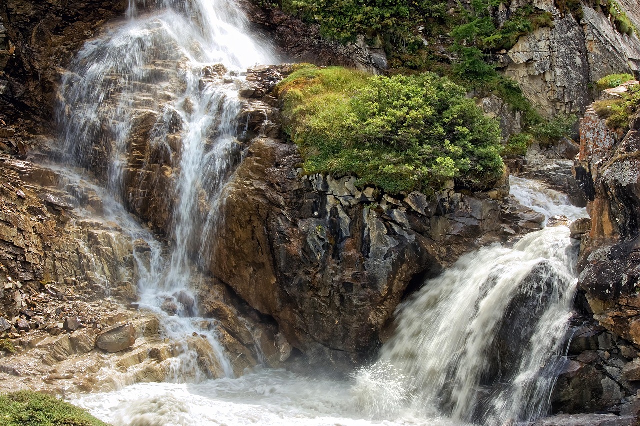 entdecken sie alles rund um die umwelt! tipps, nachrichten und hintergrundwissen zu umweltschutz, nachhaltigkeit und natur. erfahren sie, wie sie einen beitrag für eine grünere zukunft leisten können.