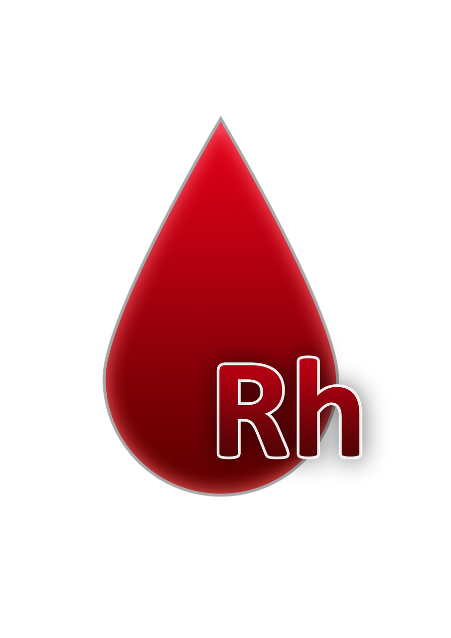 entdecken sie die schlüsselfaktoren für nachhaltigen erfolg und lernen sie, wie sie ihre ziele effektiv erreichen können.